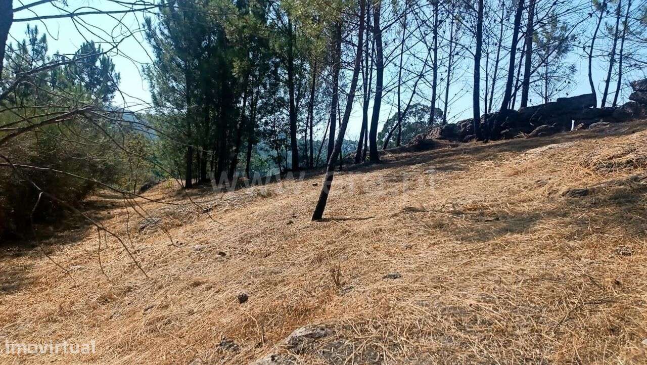 Terreno para Construção / Marco de Canaveses, Marco - Grande imagem: 5/9