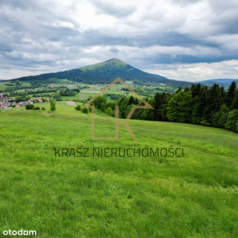 Działka rolna z pięknym widokiem - Pełny obrazek: 4/7
