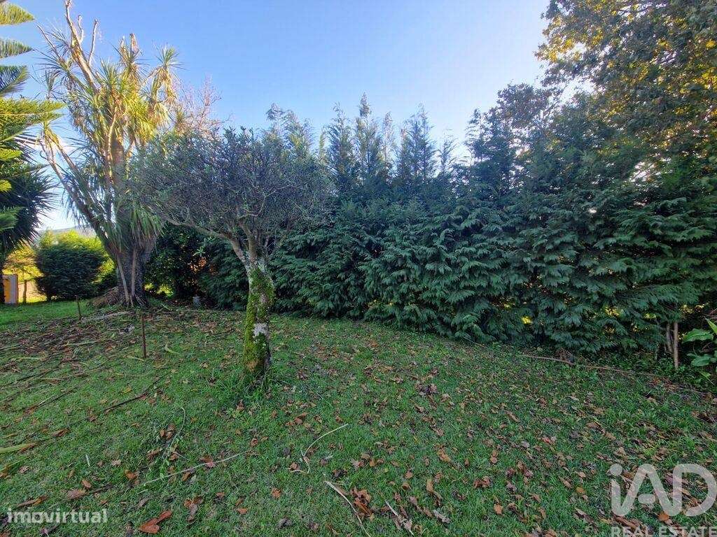 Terreno para construção em Torre e Vila Mou - Grande imagem: 4/35