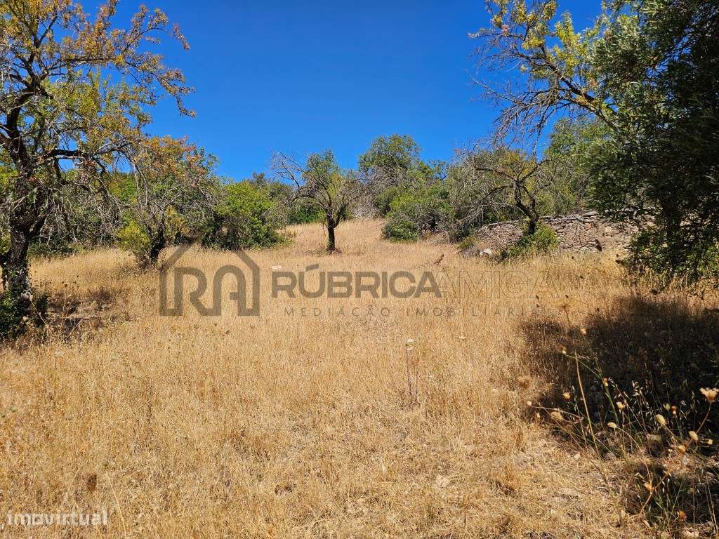 Bonito terreno com ruína em zona calma-7