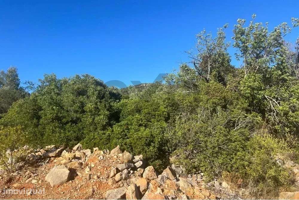 Terreno rústico de 11200m2 em Moncarapacho, Algarve-4