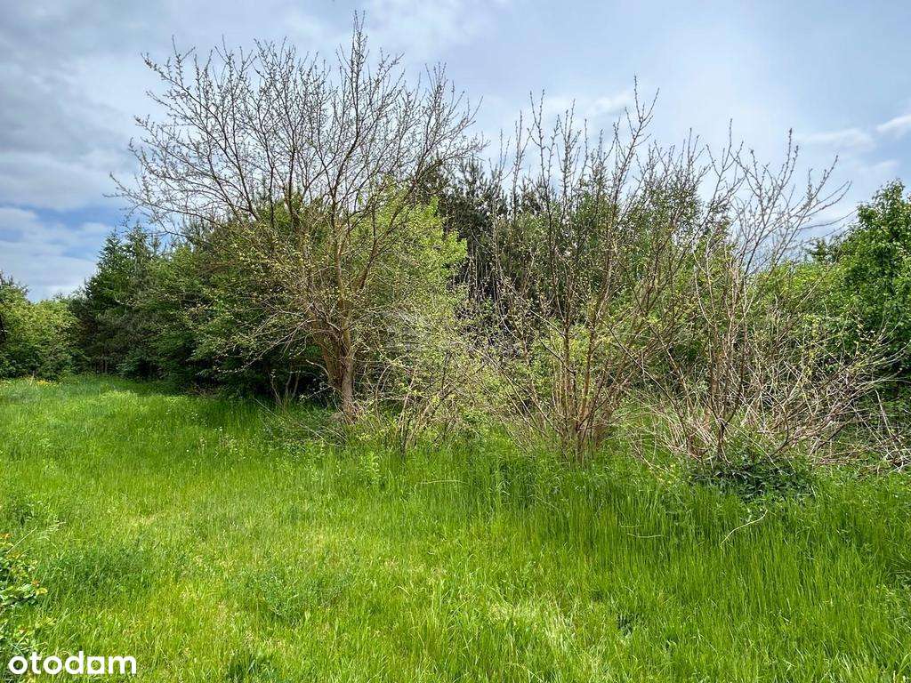 Działka Siedliskowa w Ruskowie 2791m2 - Pełny obrazek: 5/9