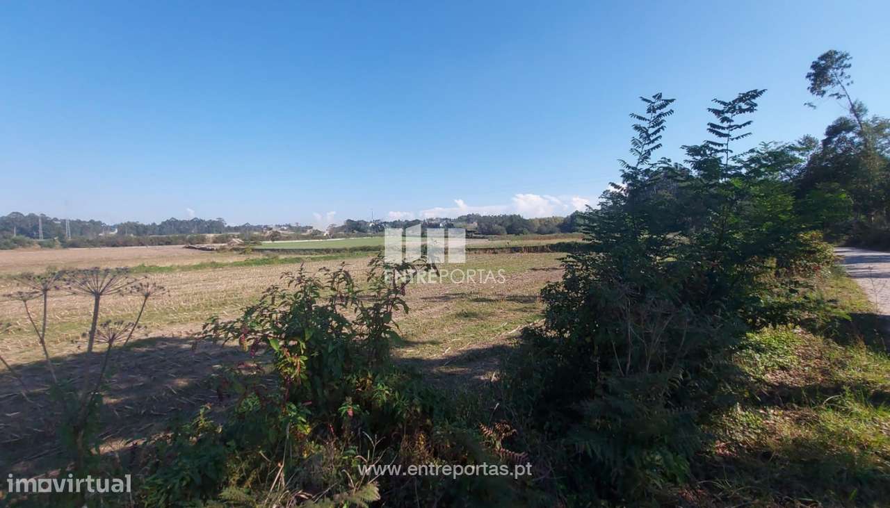 Venda de Terreno agrícola com 7250 m2, Tougues, Vila do Conde - Grande imagem: 4/11