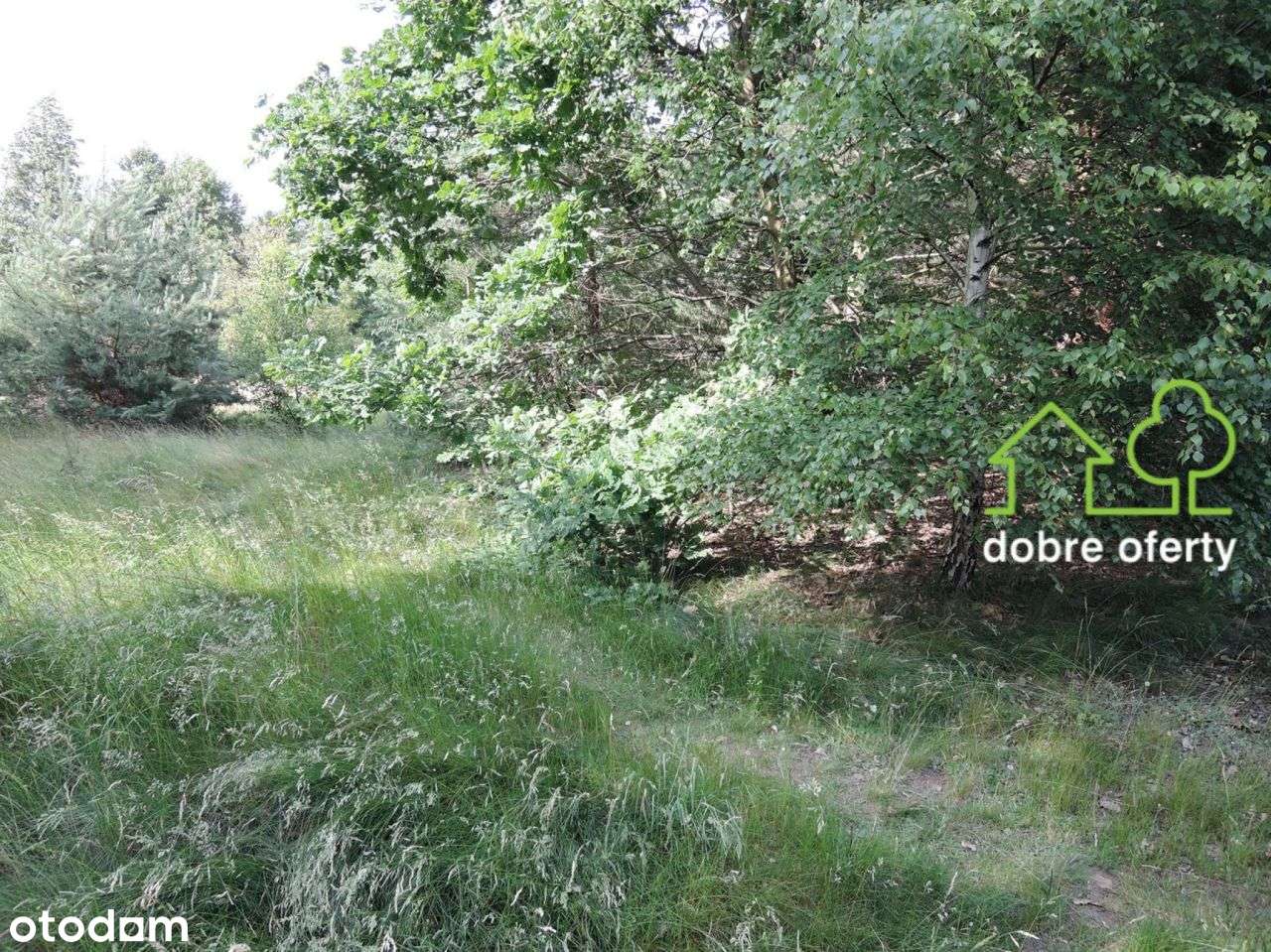 Działka budowlana Mpz-5