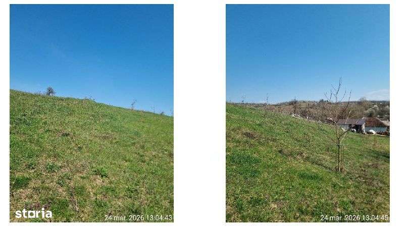 Teren extravilan, sat Topești, comuna Drăgești, jud. Bihor - Imagine principală: 4/5