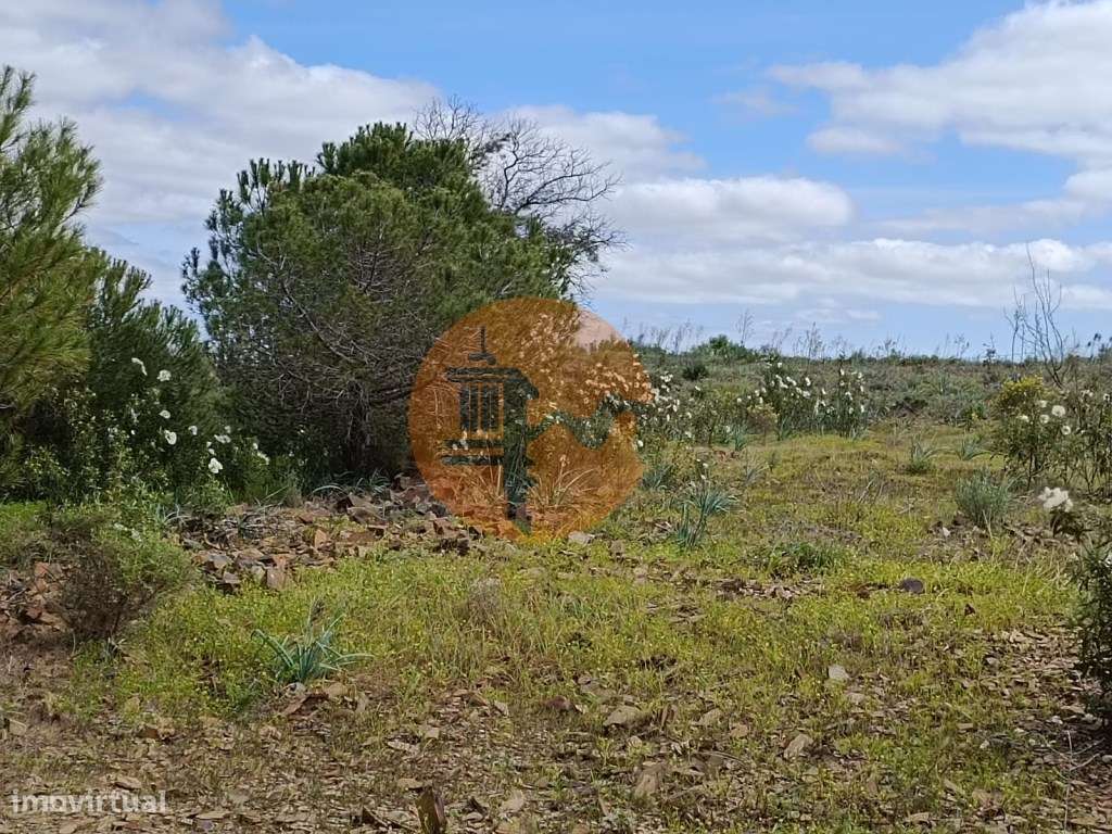TERRENO RUSTICO COM 5.920 M2 - PRÓXIMO DO PIÇARRAL - CASTRO MARIM -... - Grande imagem: 5/36