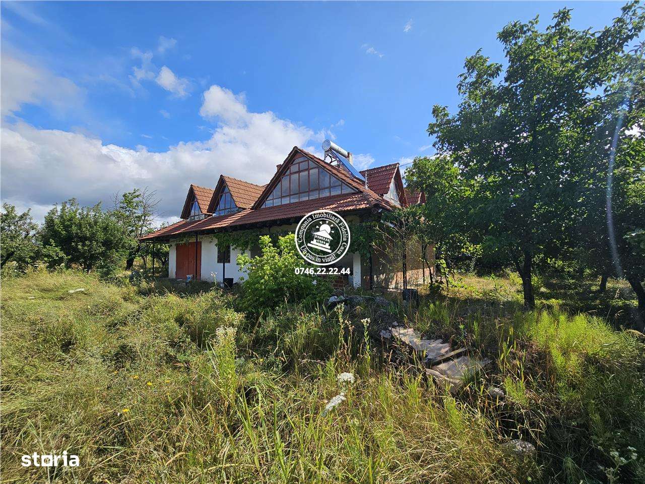 Teren intravilan Aroneanu 6.650 mp,la asfalt,toate utilitatile - Imagine principală: 4/4