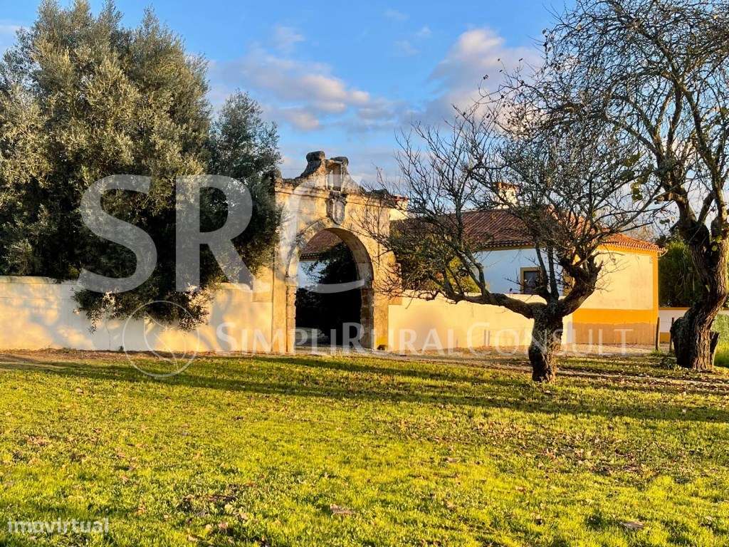 Herdade Histórica com 173 Hectares-4