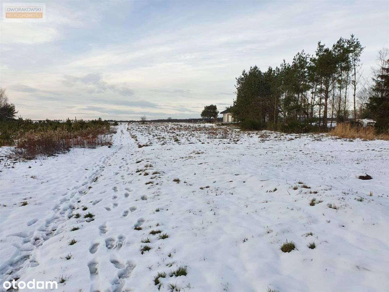 Budowlana 958 m² – zielona okolica, 20 min Wrocław-10