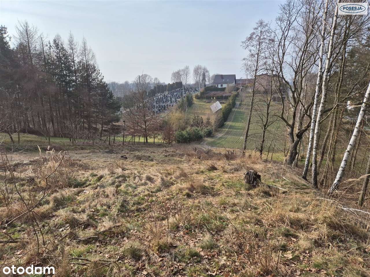 Atrakcyjna działka w Świerklanach - Pełny obrazek: 4/6