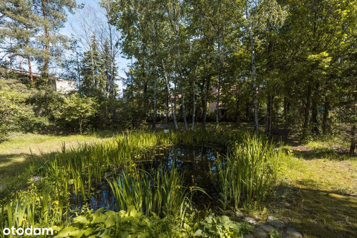 Przestronny dom dla rodziny z pięknym ogrodem-2