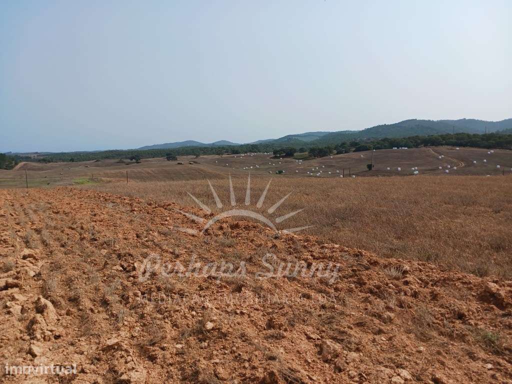 Herdade Raco de Baixo - Cercal e São Luís - Grande imagem: 4/33
