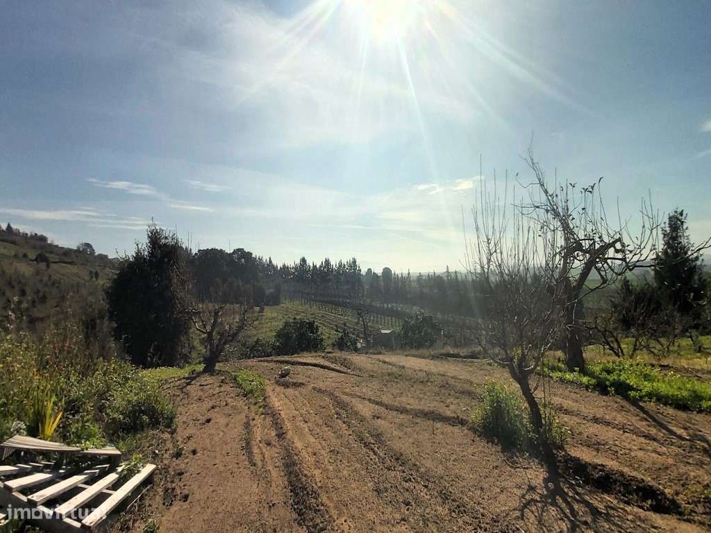 Terreno urbano com 12.560m2, Delgada - Grande imagem: 5/7