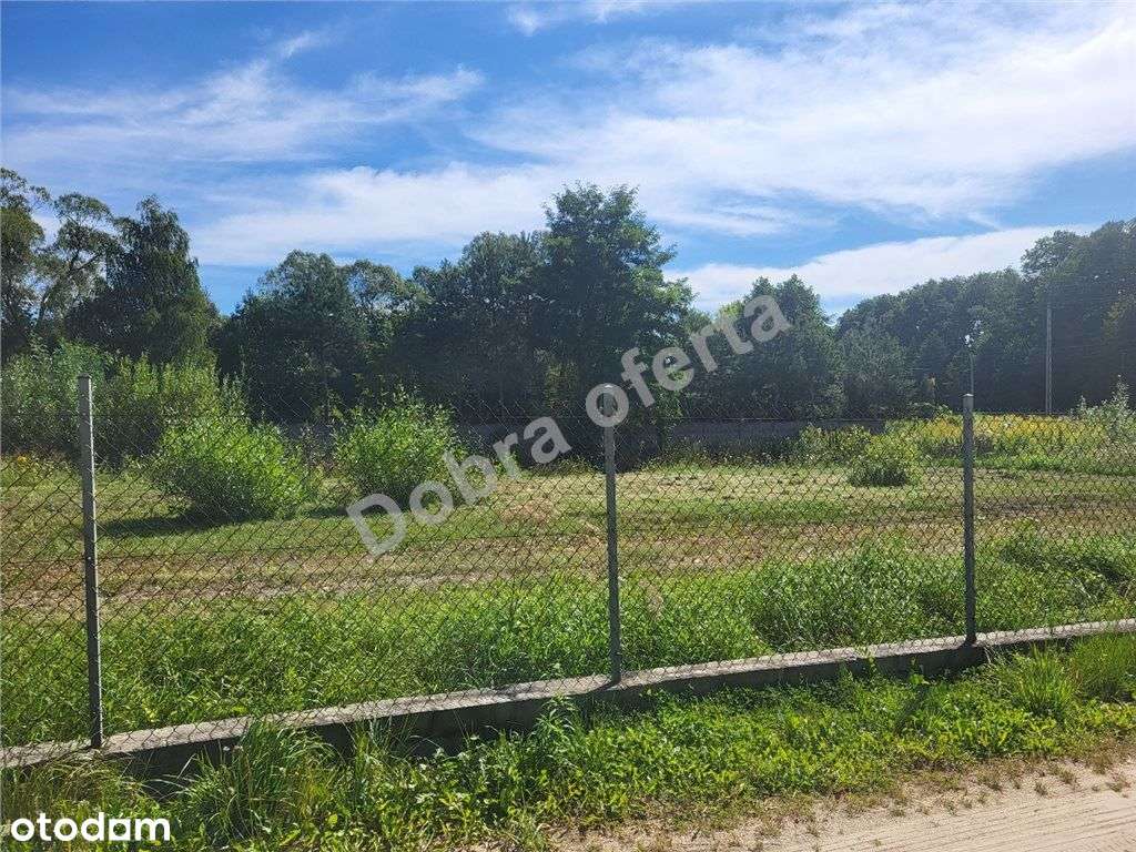 Duża działka w Barczącej - blisko Pkp - Pełny obrazek: 4/8