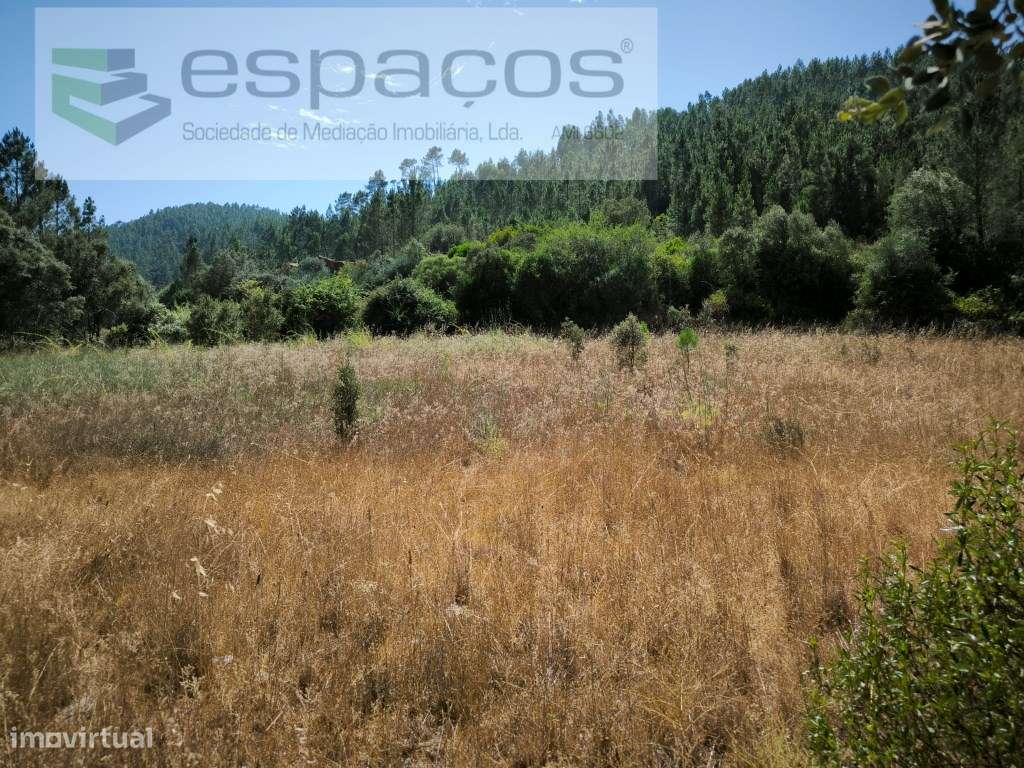 Terreno a confinar com a Ribeira do Sesmo - Grande imagem: 2/11