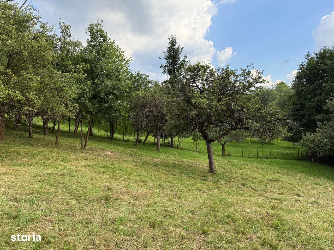 Teren intravilan 1600 mp, Sohodol, Bran, jud. Brasov - Imagine principală: 5/5