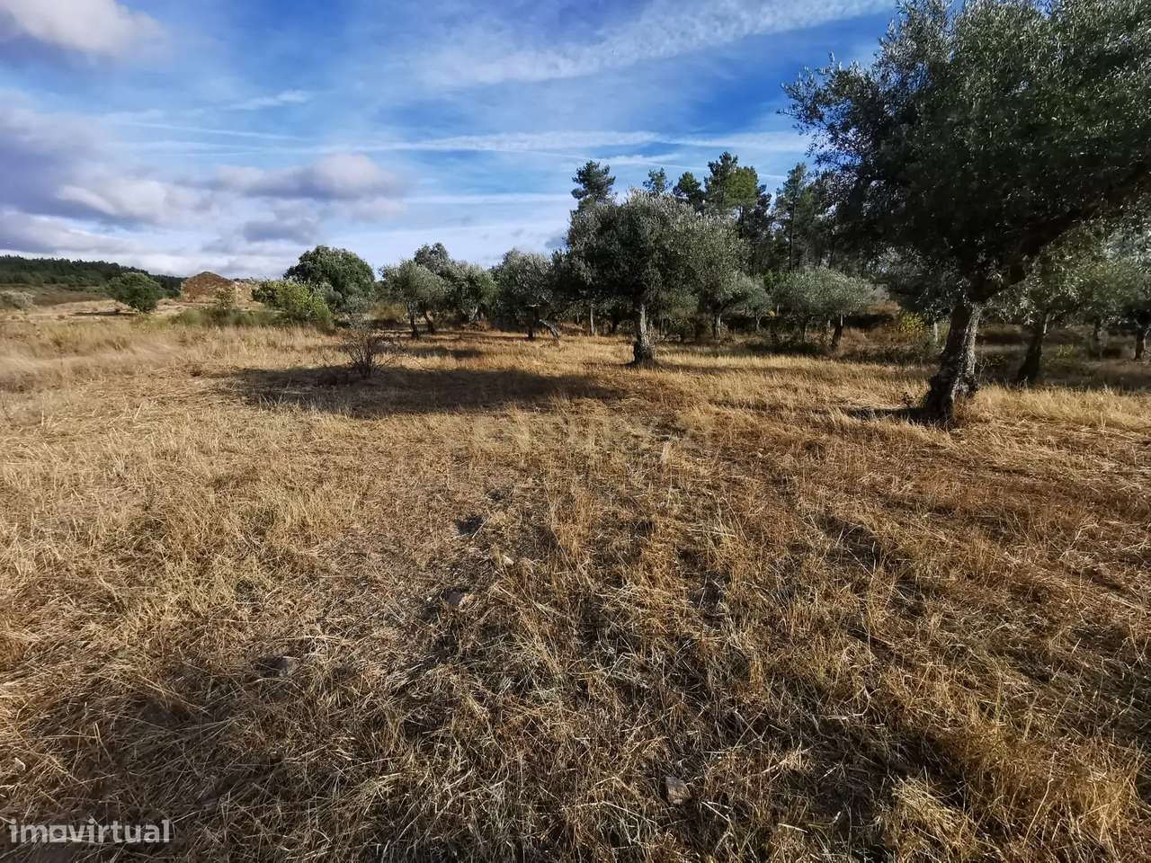 Terreno Rústico em Freixial e Juncal do Campo, Castelo Branco - Grande imagem: 5/8