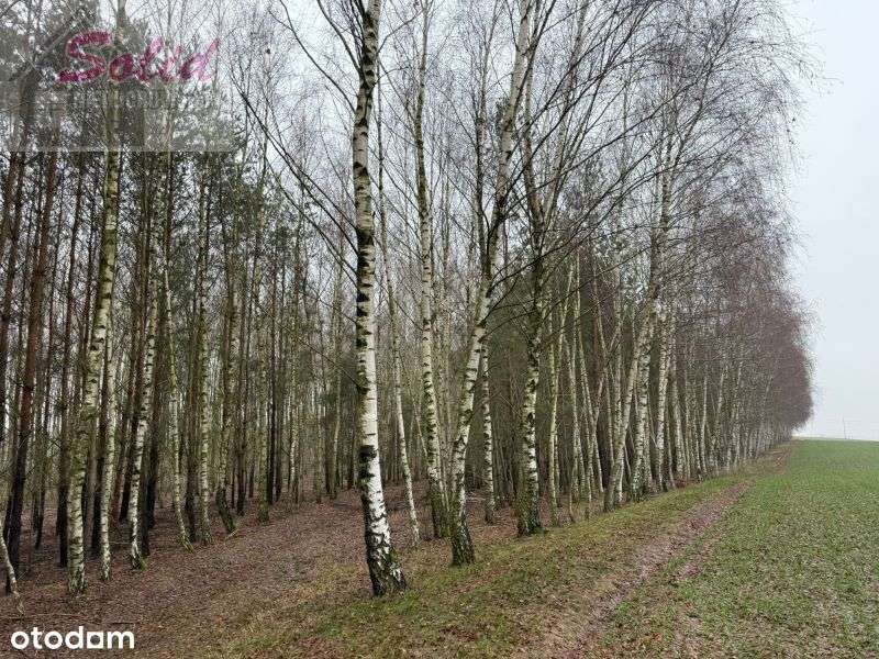 Atrakcyjna działka z warunkami zabudowy w spokojnej okolicy - Pełny obrazek: 1/11