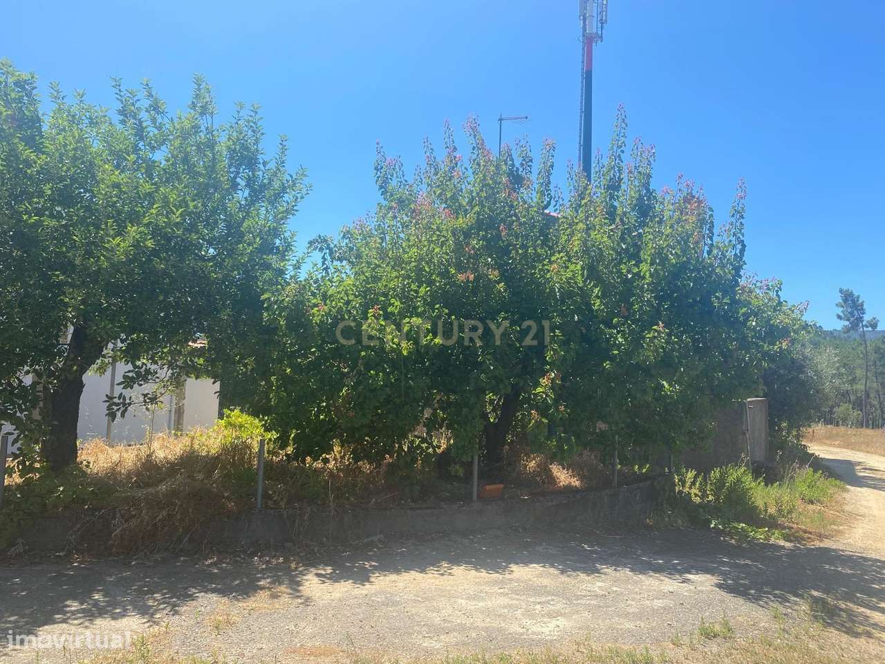 Casa de Campo na Lameirinha-8