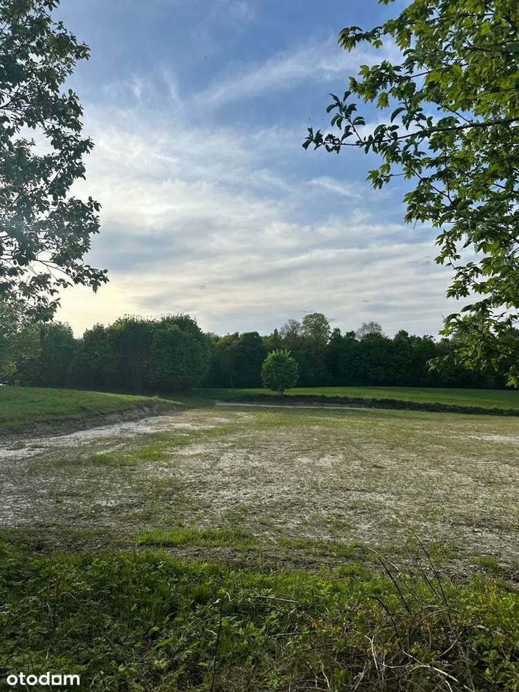 Sprzedam 2 piękne działki przy lesie z warunkami z - Pełny obrazek: 4/8