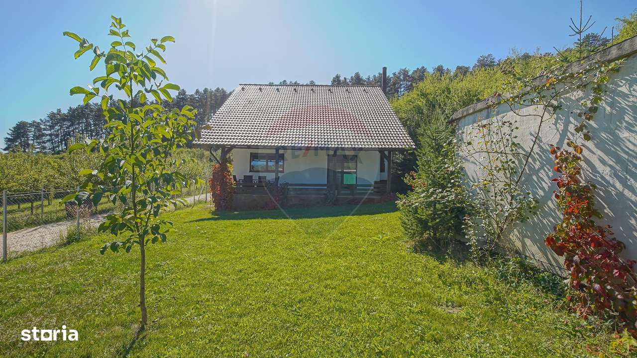 Comision 0%! Vilă modernă, în mijlocul naturii-3