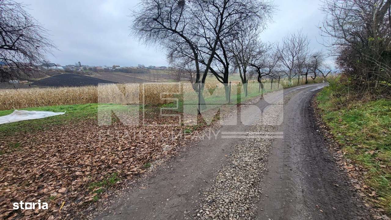 TEREN MOARA I SUCEAVA I LOC DE CASA I 20Ari I 60,000Euro - Imagine principală: 5/5