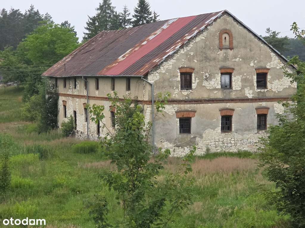 Zabytkowy Młyn, budynki gospodarcze, rzeka, las-6