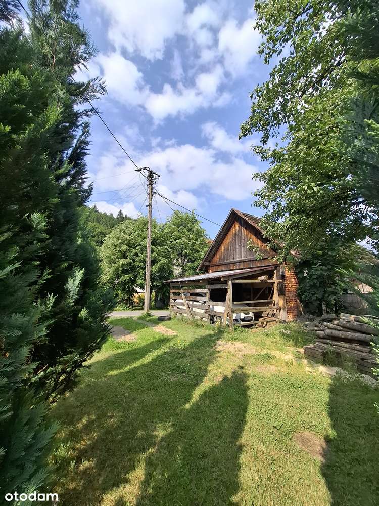 Nieruchomość w Żabnicy-2