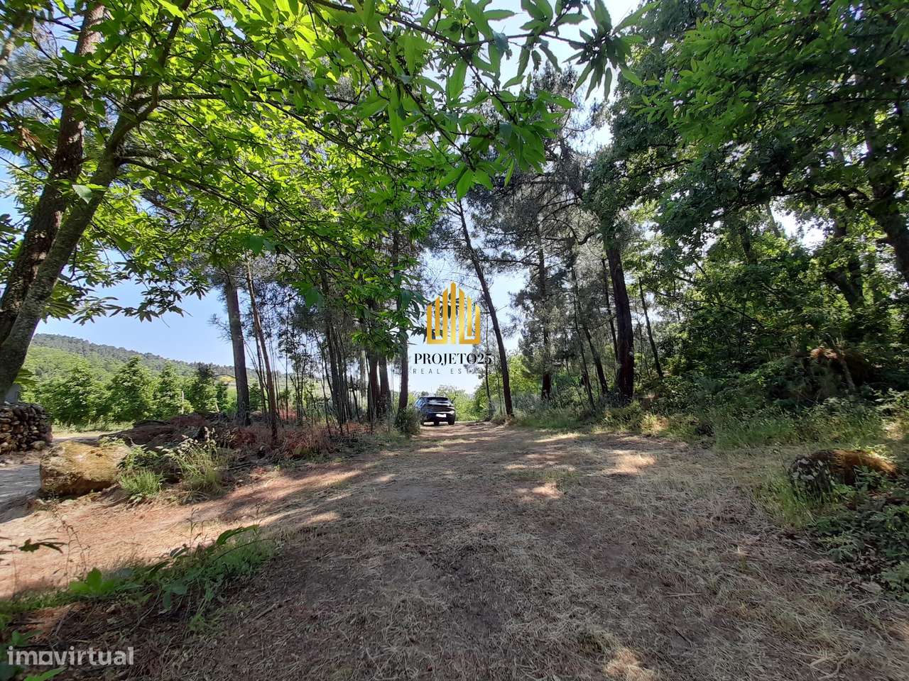 Terreno único com 21.500 m² Zona Vinhateira - Projeto Turístico-22