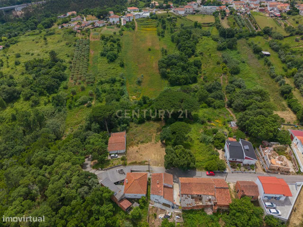 Terreno com 2.705 m² na Boavista, Alcobaça-3
