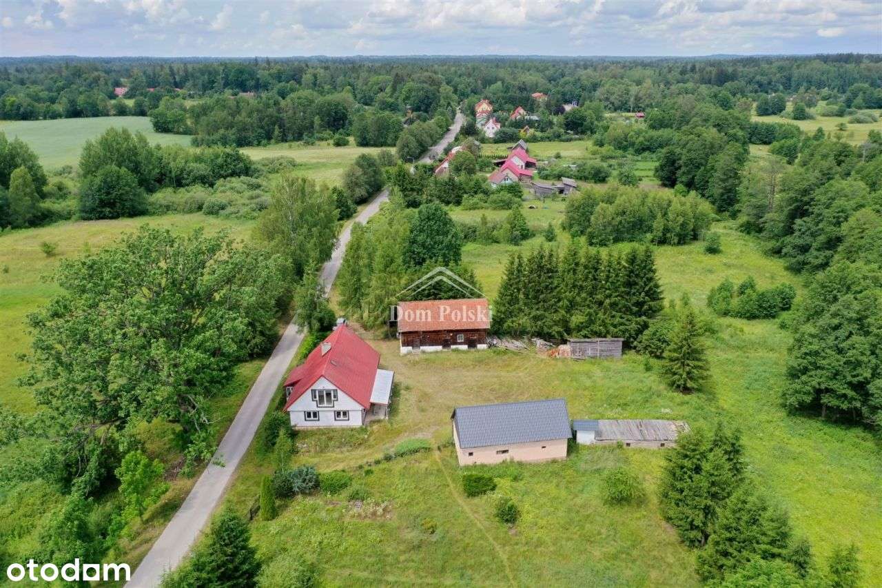 Siedlisko 2646 m2 - Czerwony Dwór, Puszcza Borecka - Pełny obrazek: 4/20