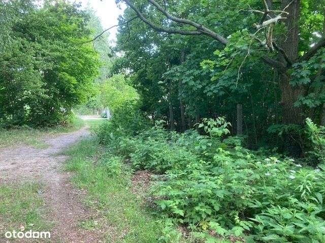 Atrakcyjna działka dla dewelopera - Pełny obrazek: 4/8