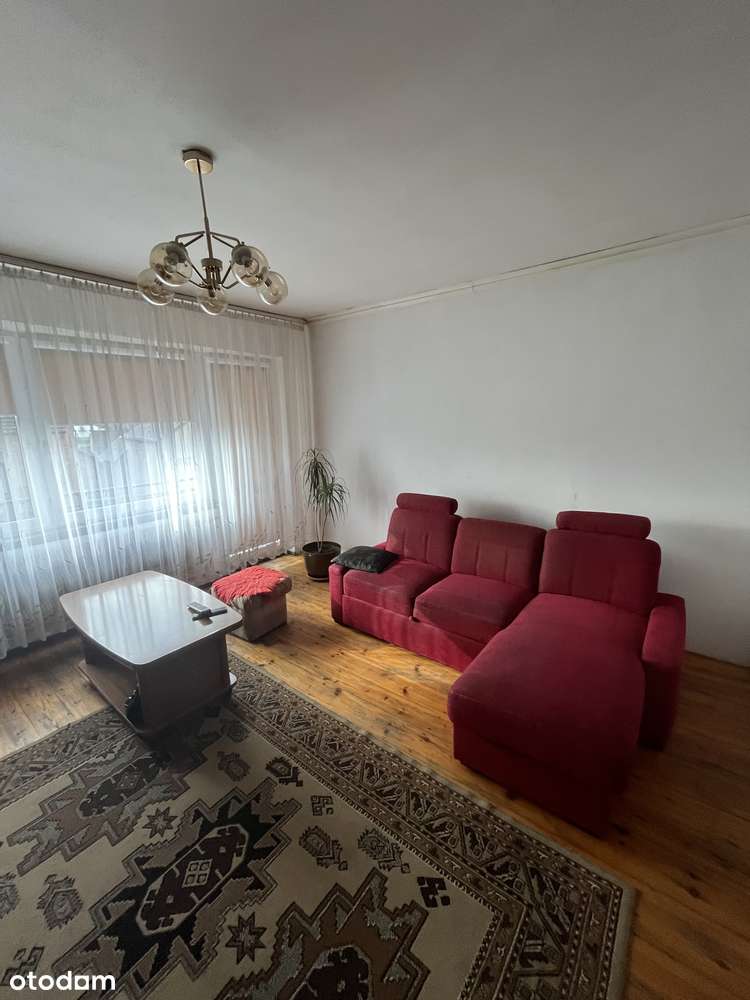 Dom wolnostojący , duża działka-6