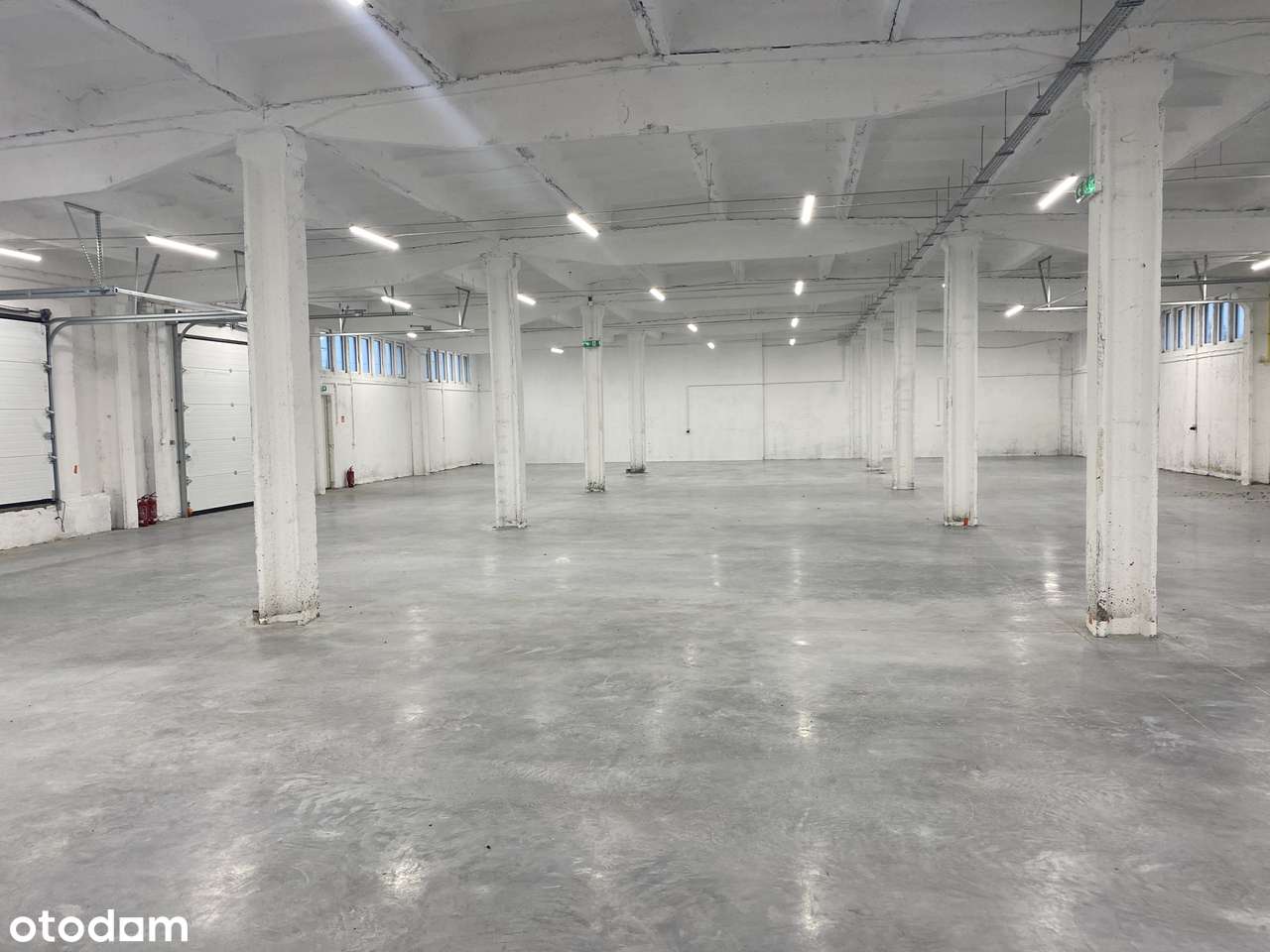 Do wynajęcia hala po remoncie z biurem i parkingiem – Uścimów - Pełny obrazek: 4/10