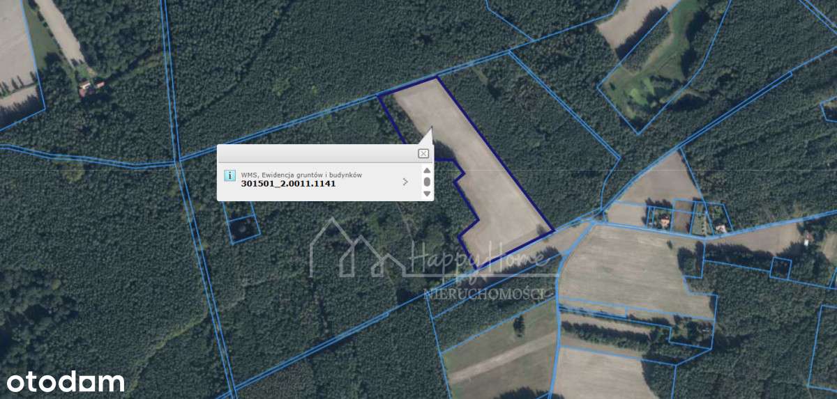 Grunty pod zabudowę mieszkaniową - Wąsowo-2