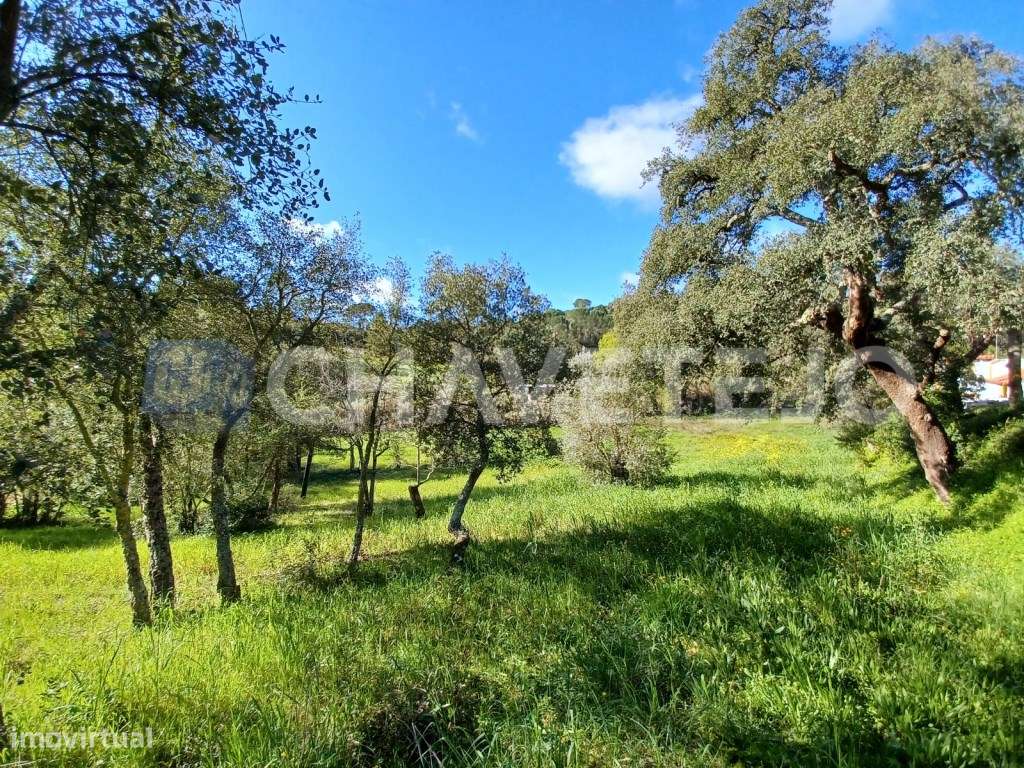 Terreno rústico com 2 poços e tanque perto do Aqueduto dos Pegões. - Grande imagem: 4/7