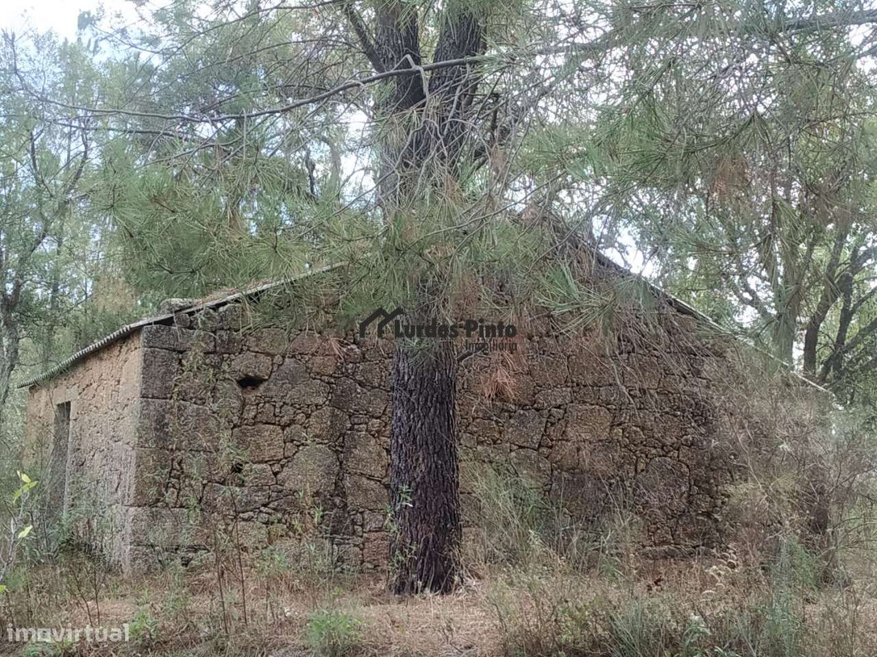 Quinta com casa em pedra - Grande imagem: 2/17