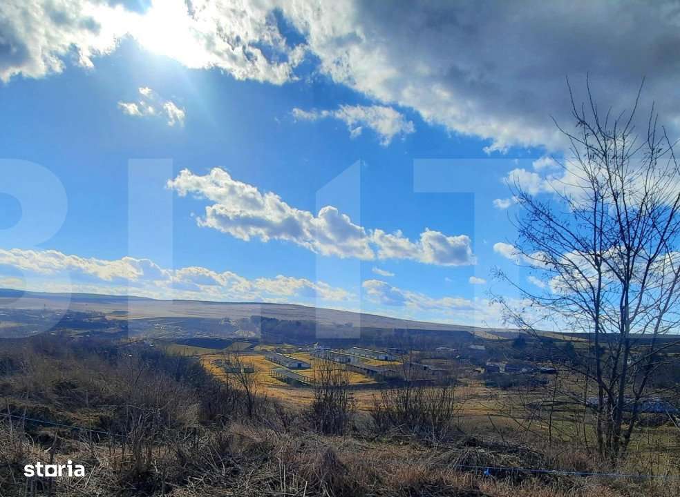 Ferma in intravilanul comunei Cojocna, 5 Ha cu hale - Imagine principală: 3/9