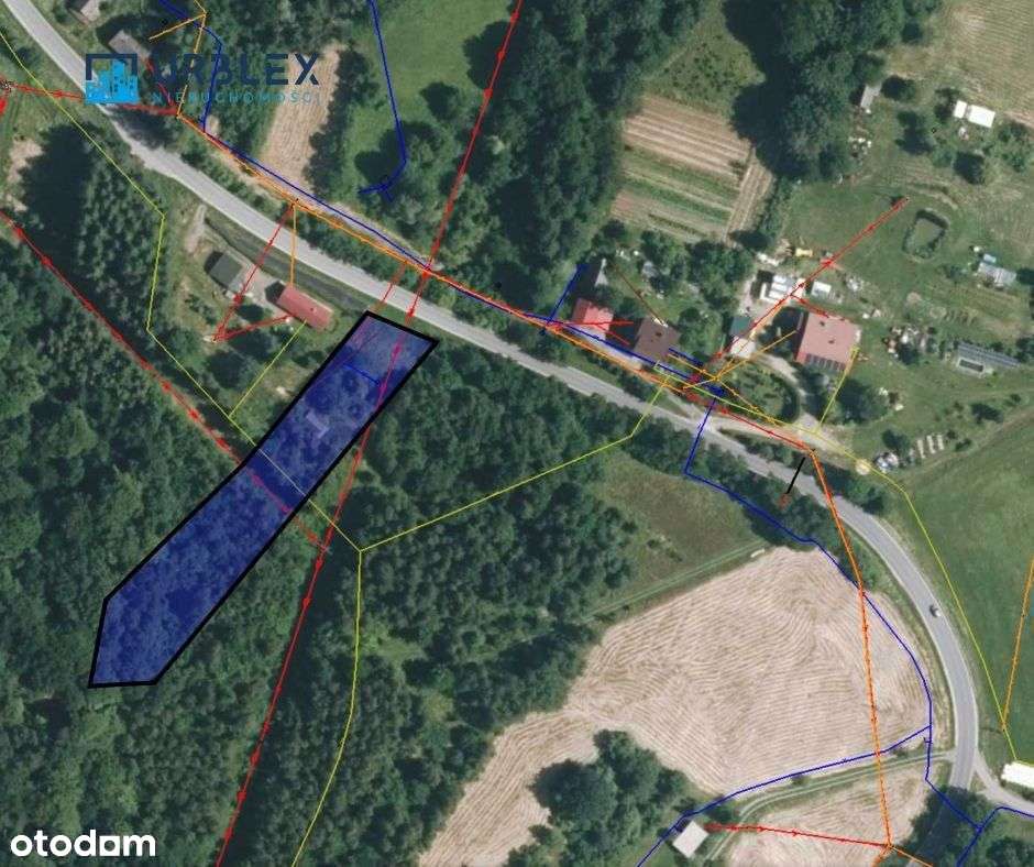 DOMEK LETNISKOWY + WŁASNY LAS-11