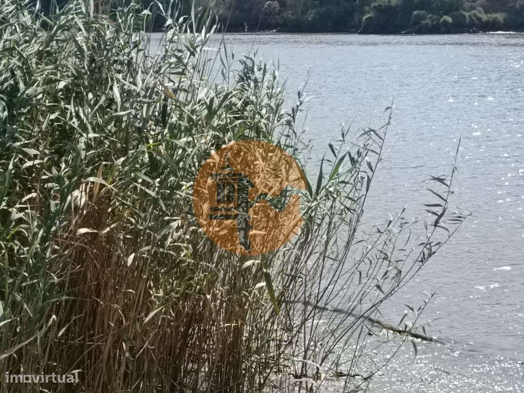TERRENO RUSTICO COM 760 M2 JUNTO AO RIO GUADIANA - PONTAL - ALCOUTIM - Grande imagem: 3/24