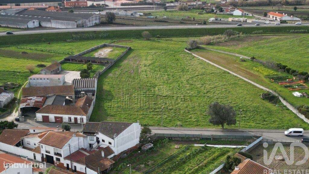 Terreno para construção em Oliveirinha de 9007,00 m2 - Grande imagem: 3/18