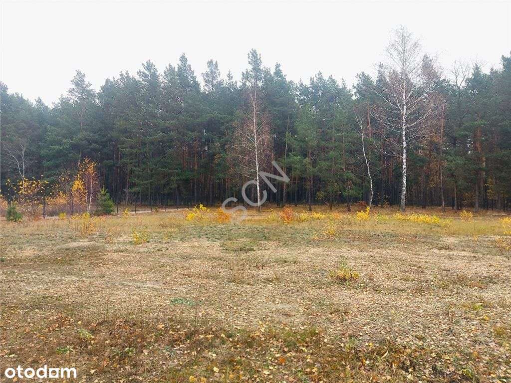 Zamieszkaj w zielonej oazie spokoju, 2086m² - Pełny obrazek: 4/12