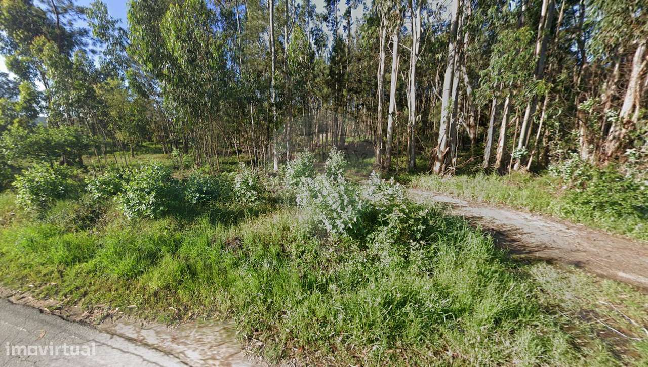 Terreno  para venda - Grande imagem: 2/16