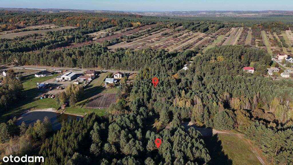 Działki w spokojnej okolicy–Dyle - 1,88 ha-7