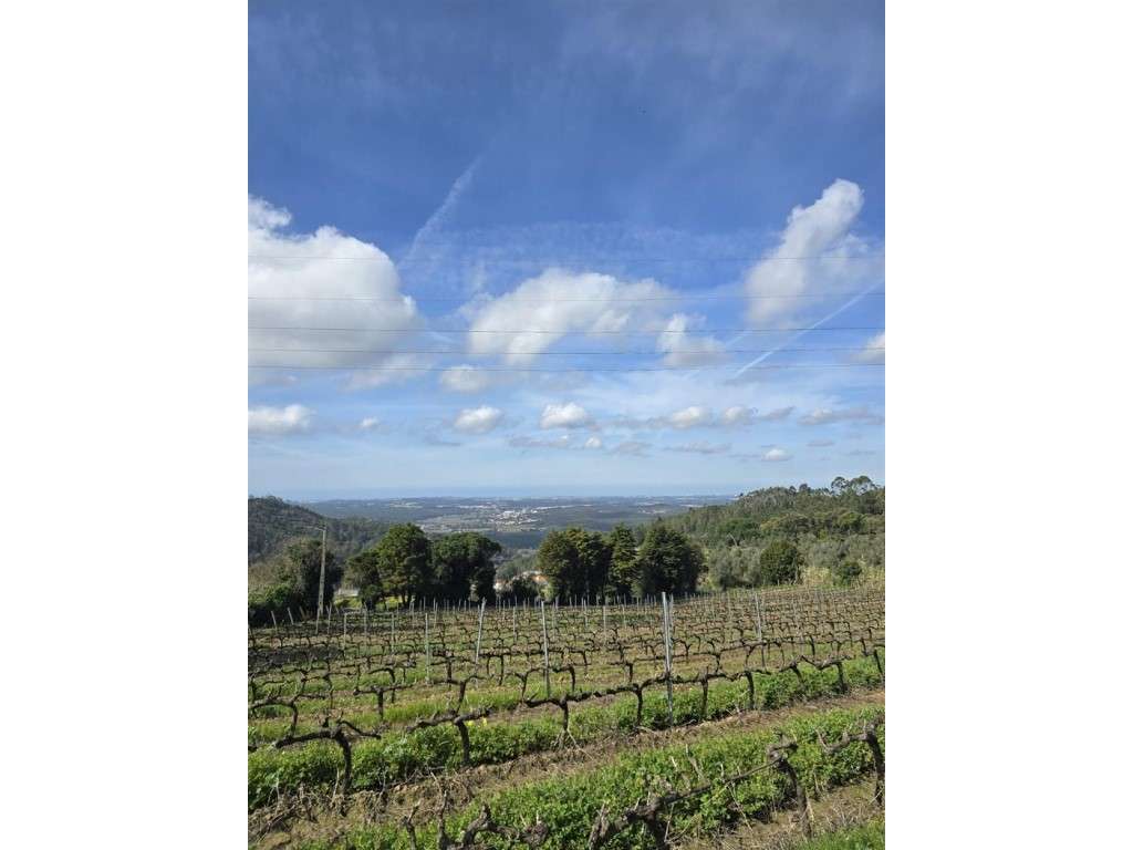 Moradia T3 com terraço, terreno e arrecadação para remodelar, Folgo...-23