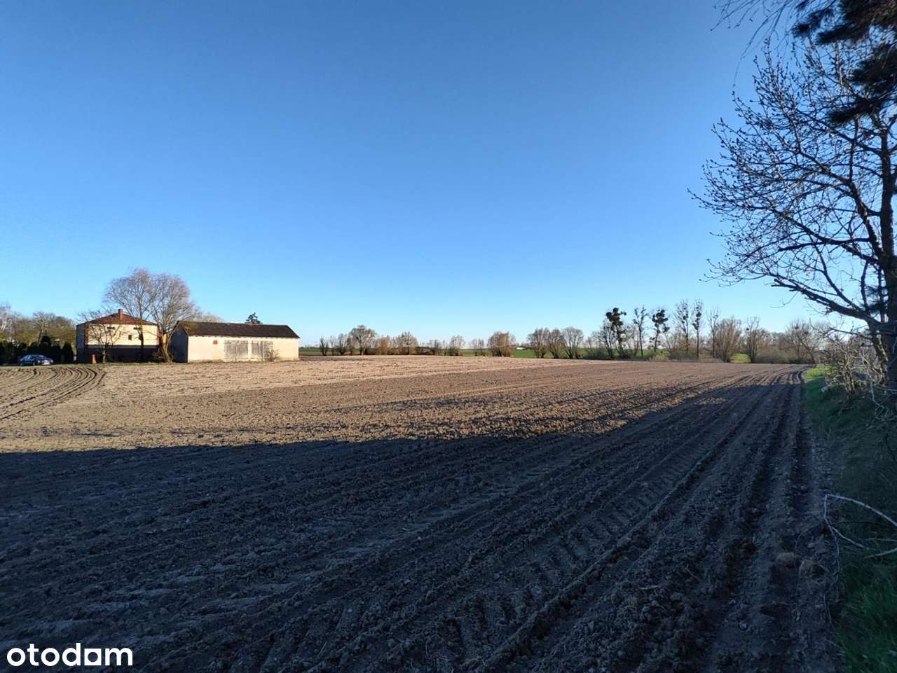 Grunty rolne dobrej klasy w Jankowicach - Pełny obrazek: 5/6