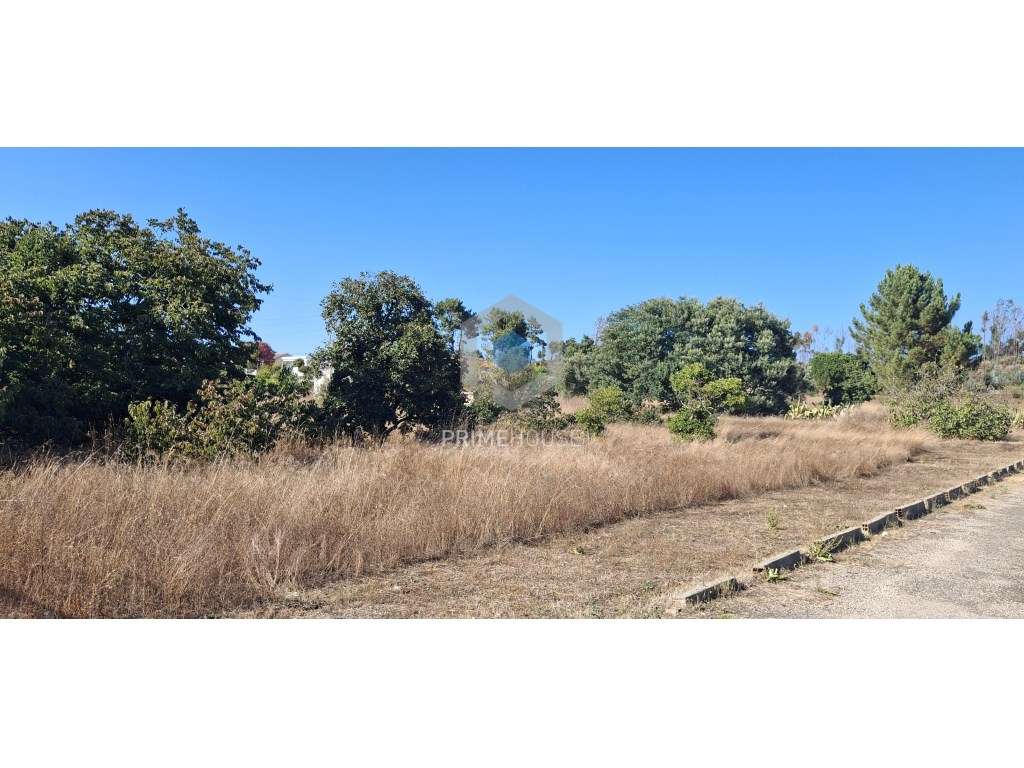 Loteamento com 76 Fogos - Grande imagem: 5/10