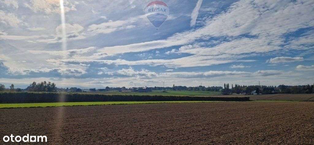 Działka pod zabudowę + rolna + rekreacja - Pełny obrazek: 5/7