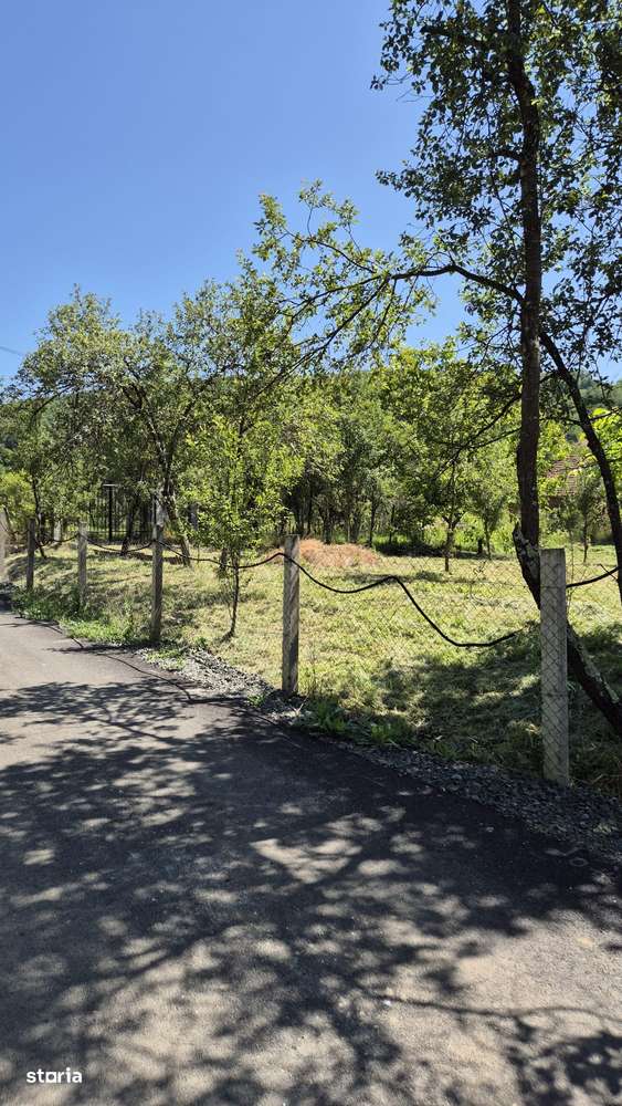 Teren de vânzare 600 mp Varădia de Mureș Sat Julița - Imagine principală: 4/5