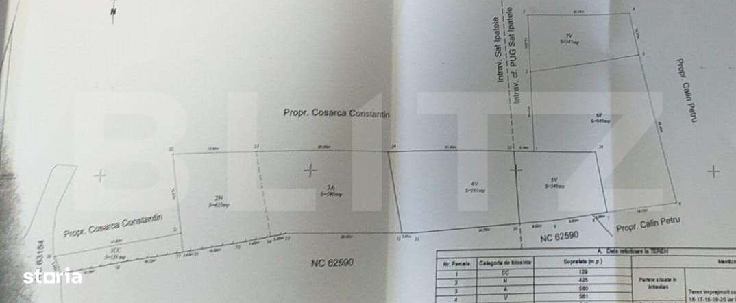 Teren cu casa batraneasca de 85 mp utili cu teren de 6700 mp in Ipatel - Imagine principală: 4/5